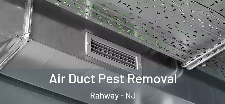  Air Duct Pest Removal Rahway - NJ