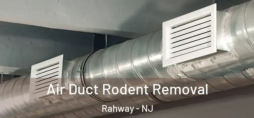  Air Duct Rodent Removal Rahway - NJ