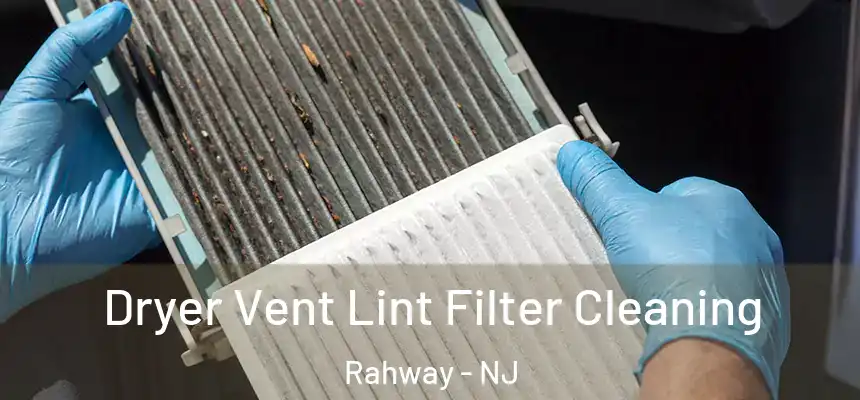  Dryer Vent Lint Filter Cleaning Rahway - NJ