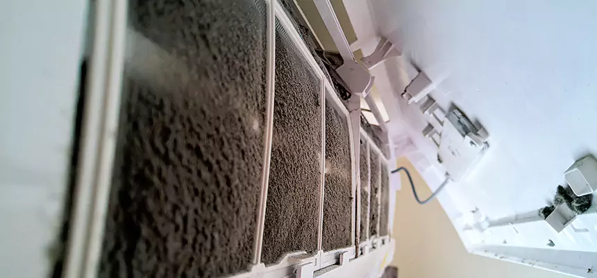 Preventive Air Duct Bacteria Removal in Rahway