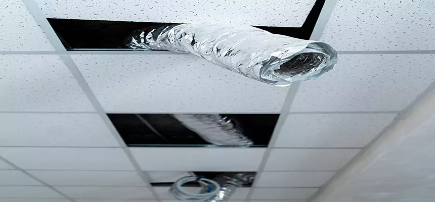 Our Air Duct Pet Hair Removal Services in Rahway, NJ