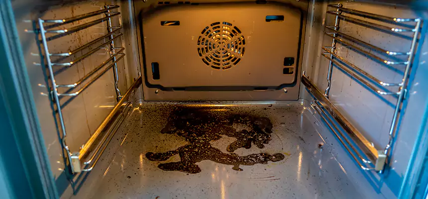 Our Dryer Vent Mold Cleaning Services in Rahway, NJ