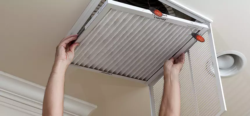 Our Insect Removal from Air Ducts Services in Rahway, NJ