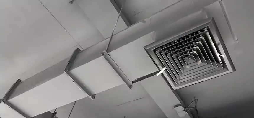 Our Rodent Droppings In Vents Services in Rahway, NJ