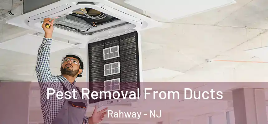  Pest Removal From Ducts Rahway - NJ