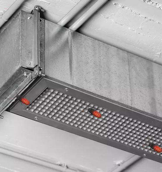About Air Duct Cockroach Removal in Rahway, NJ