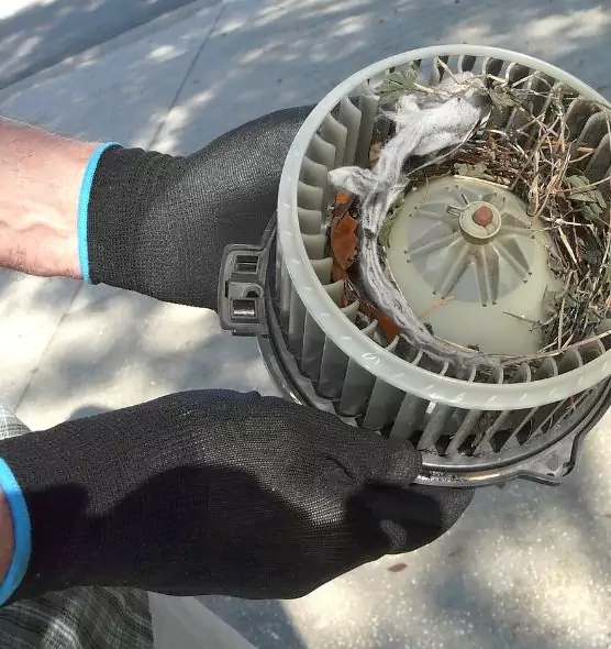 About Air Duct Rat Removal in Rahway, NJ